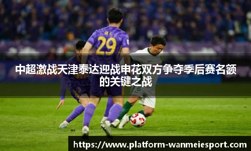 中超激战天津泰达迎战申花双方争夺季后赛名额的关键之战